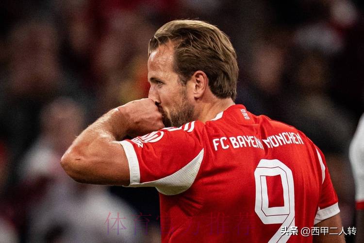 本届世界杯荷兰凯恩赛事预测权威解读