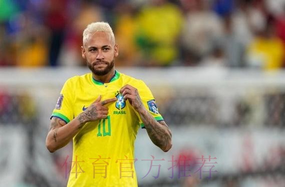 世界杯荷兰维尼修斯比赛解读权威解读